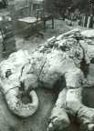 life size ceramic Elephant by Dancer
